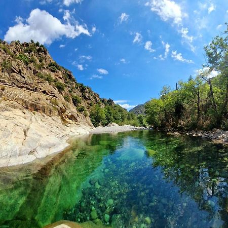 Вілла Domaine U Filanciu - Casa Ghjulia - Centru Di Corsica Moltifao Екстер'єр фото