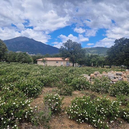 Вілла Domaine U Filanciu - Casa Ghjulia - Centru Di Corsica Moltifao Екстер'єр фото
